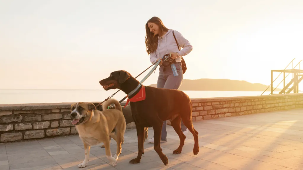 Teenager walking two dogs along a scenic path, representing one of the easy ways for teenagers to make money through pet care services.